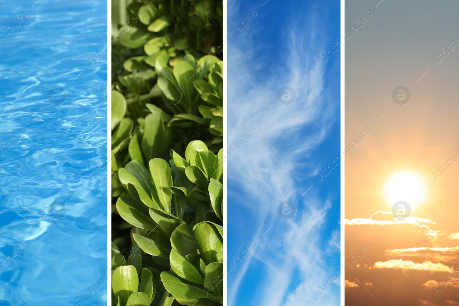 Image of Collage with photos of water, green plants, blue sky and sun. Beautiful nature 