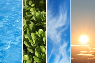 Collage with photos of water, green plants, blue sky and sun. Beautiful nature 