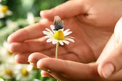 Photo of Woman holding chamomile flower with butterfly outdoors on sunny day, closeup