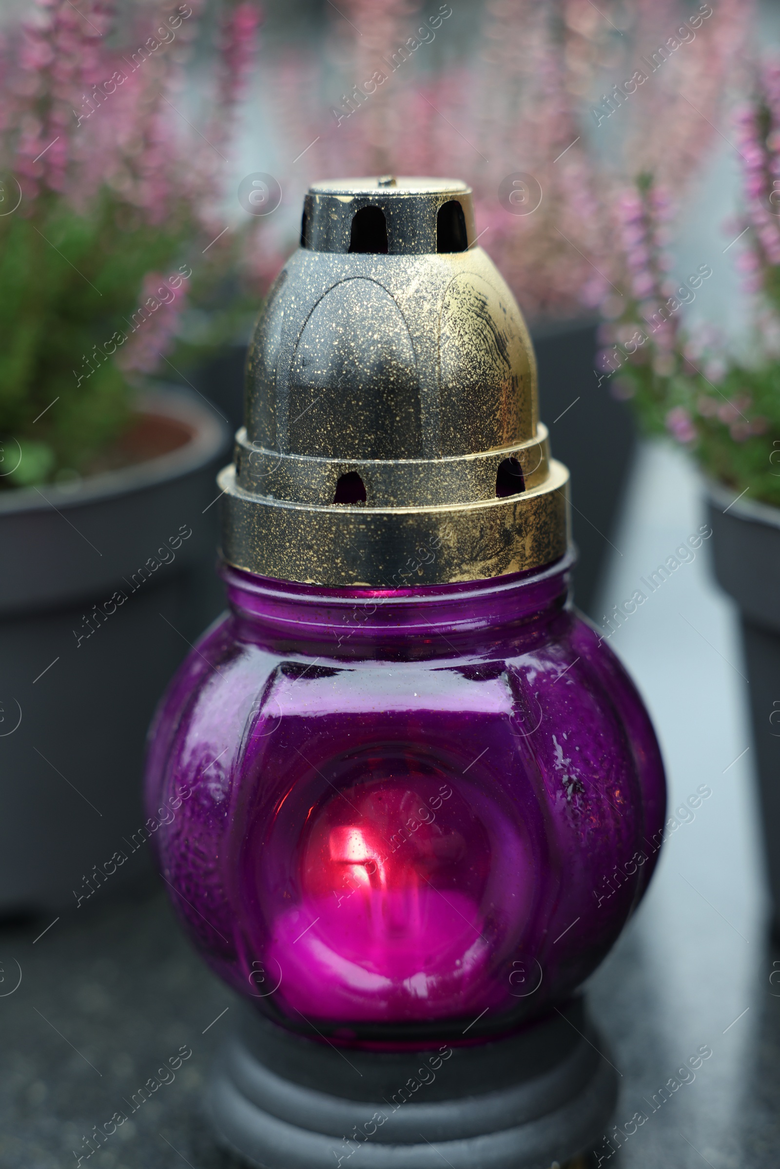 Photo of Grave light and potted heather on granite surface at cemetery, closeup