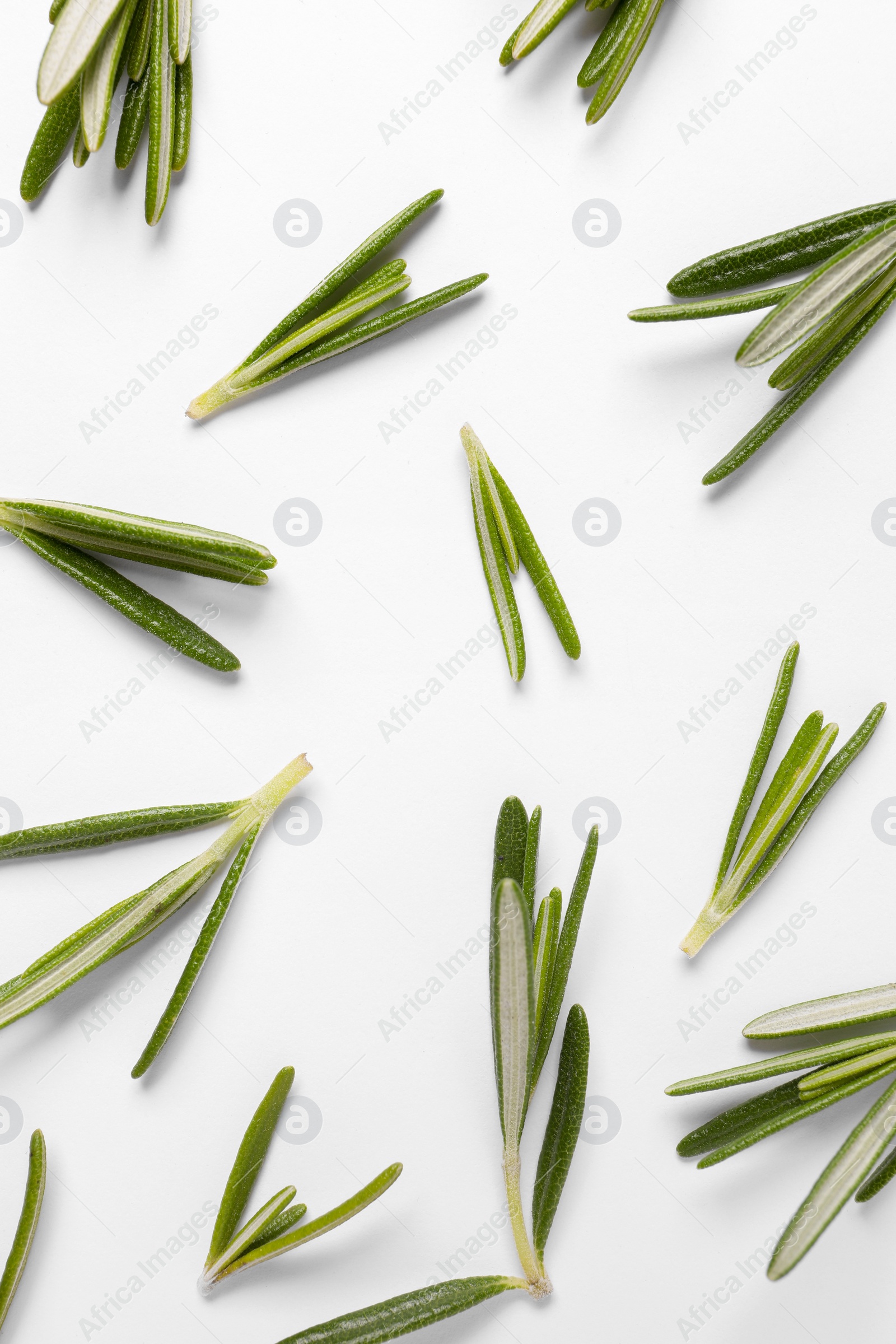 Photo of Sprigs of fresh rosemary on white background, flat lay