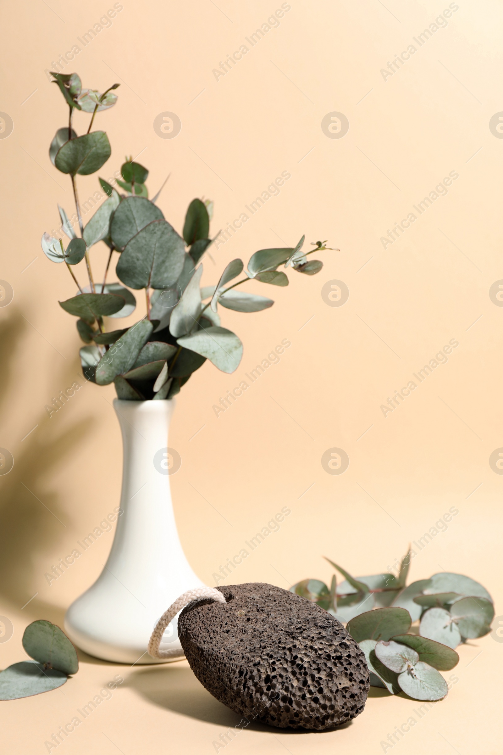 Photo of Pumice stone and eucalyptus on beige background