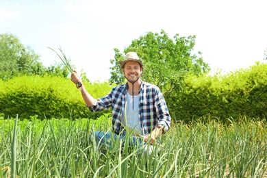 Photo of Man working in garden on sunny day