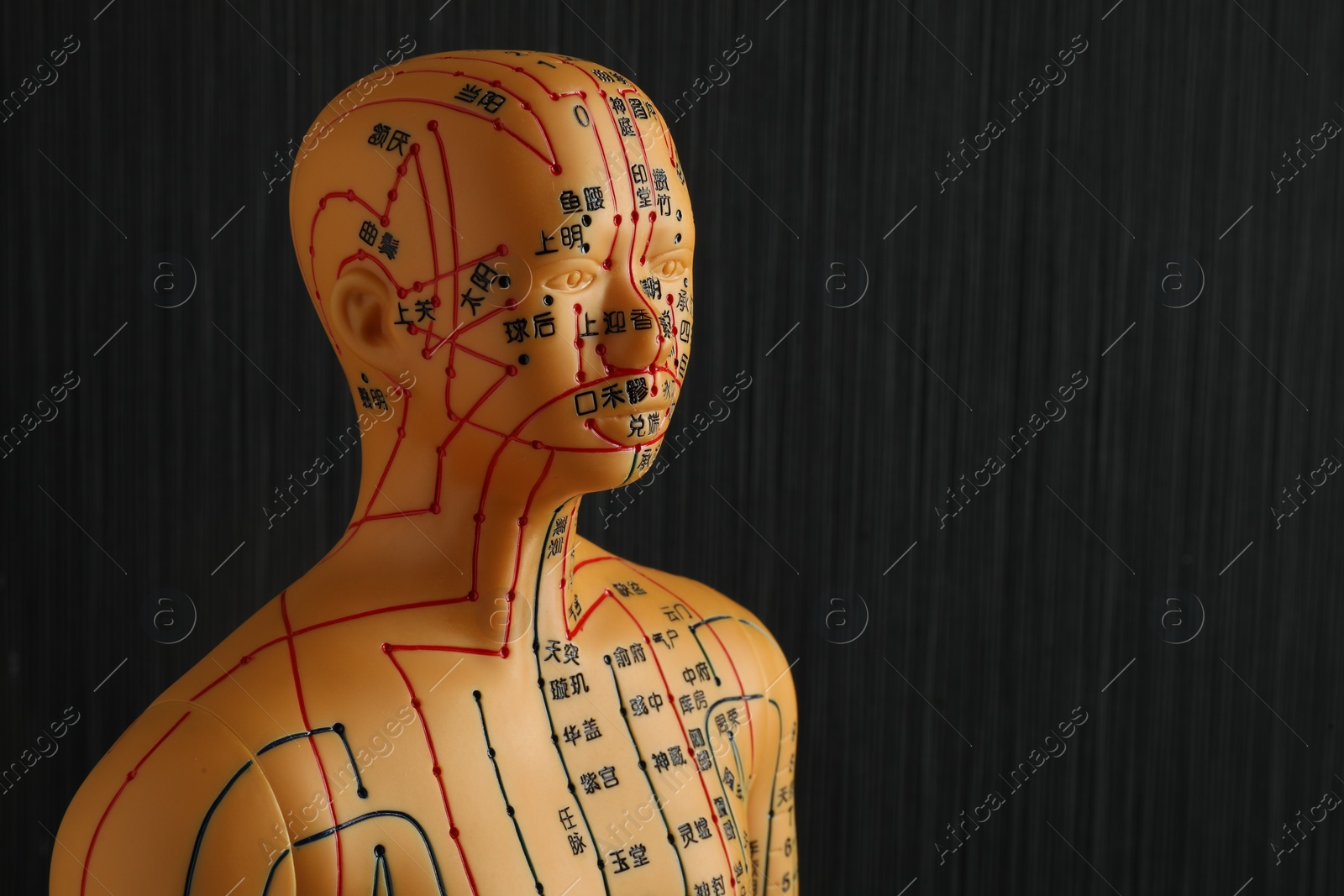 Photo of Acupuncture model. Mannequin with dots and lines on black background, space for text