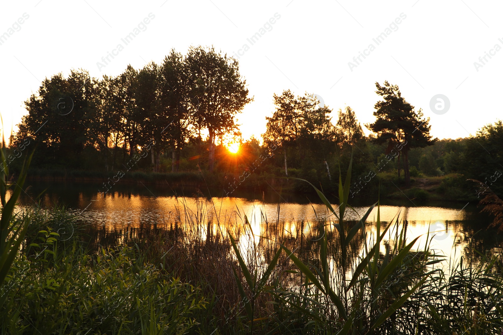 Photo of Picturesque view of countryside with river in morning