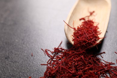 Aromatic saffron and wooden scoop on gray table, closeup. Space for text