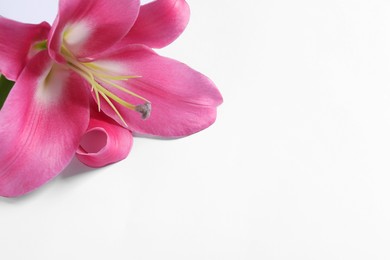 Photo of Beautiful pink lily flower on white background, closeup. Space for text