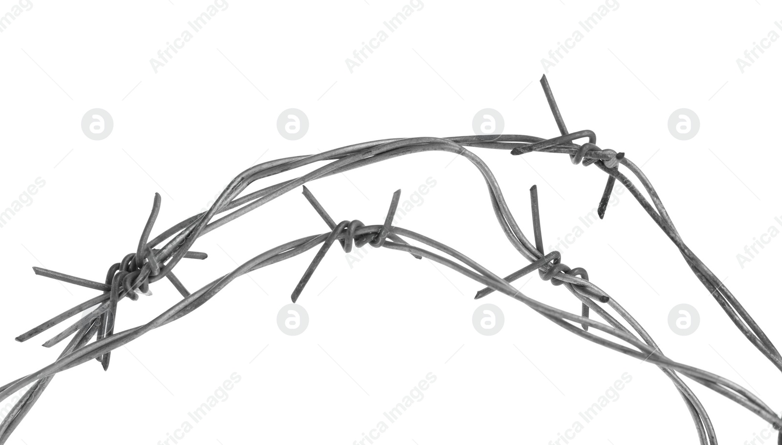 Photo of Shiny metal barbed wire isolated on white