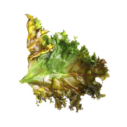 Photo of Tasty baked kale chip isolated on white