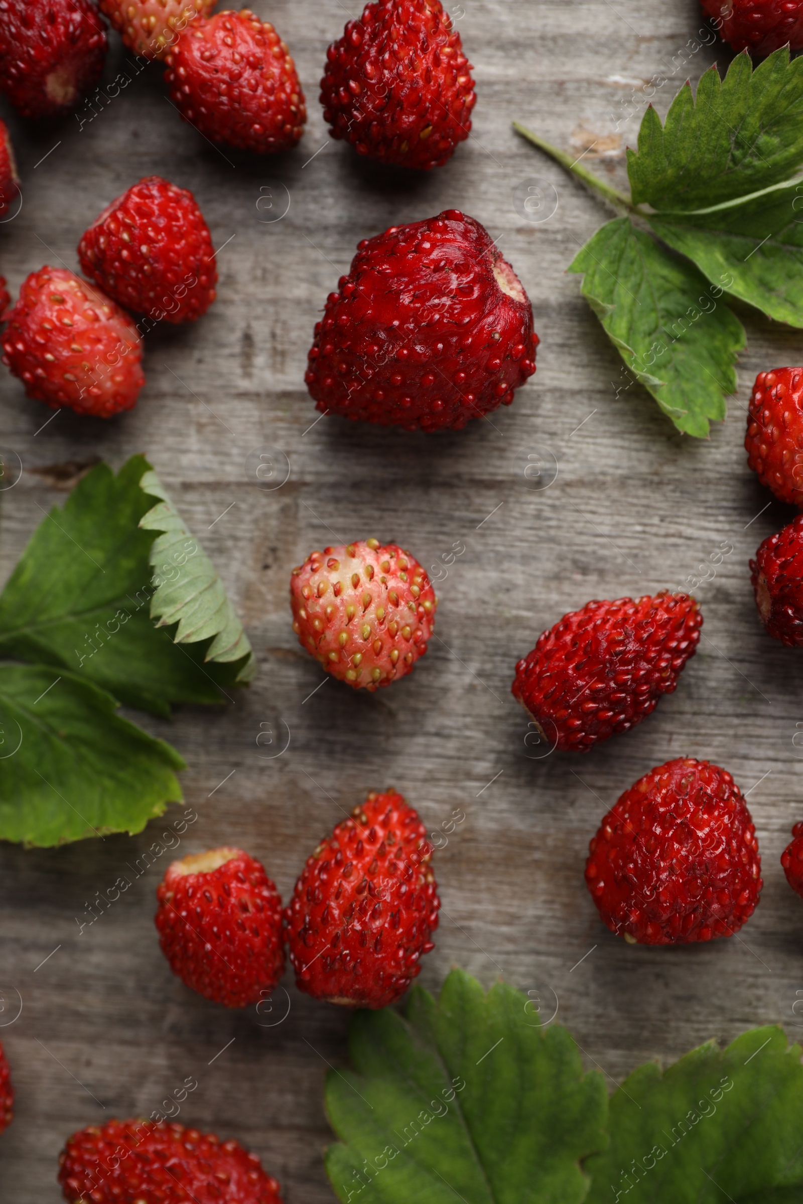 Photo of Many fresh wild strawberries and leaves on wooden table, flat lay