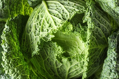 Photo of Fresh green savoy cabbage as background, closeup