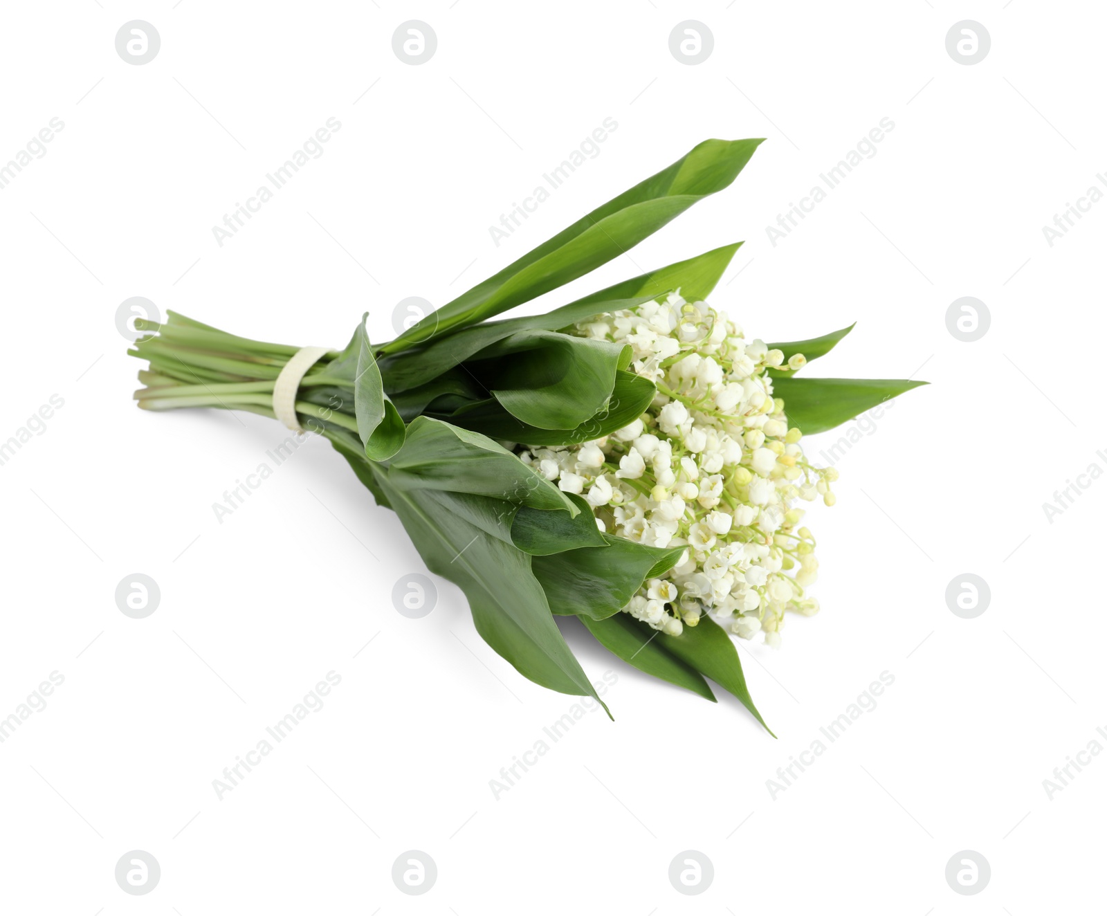 Photo of Beautiful lily of the valley bouquet on white background, top view