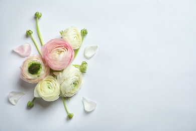 Photo of Beautiful ranunculus flowers on white background