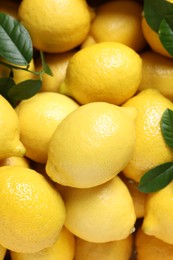Photo of Fresh lemons and green leaves as background, top view