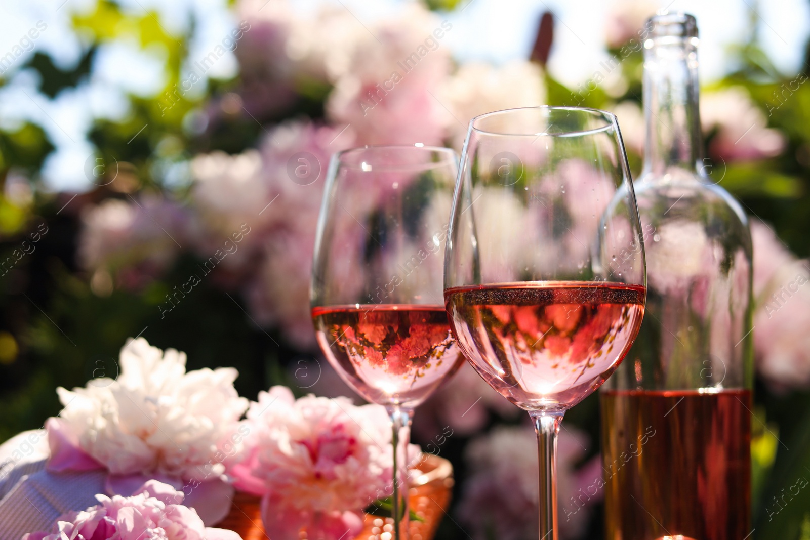 Photo of Bottle and glasses of rose wine near beautiful peonies in garden, closeup. Space for text