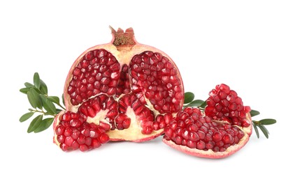 Photo of Fresh cut pomegranate and branches isolated on white