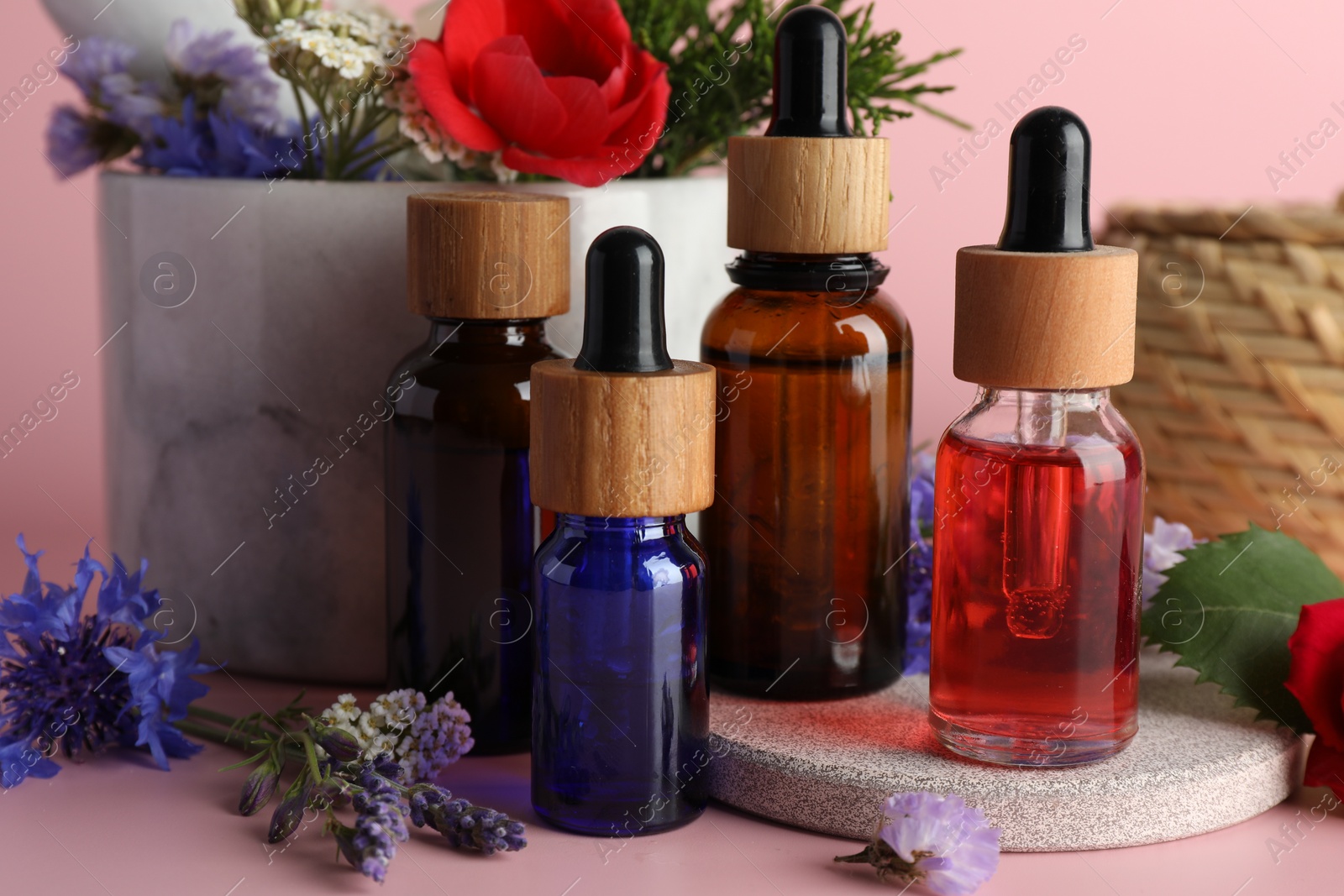 Photo of Aromatherapy. Different essential oils and flowers on pink background