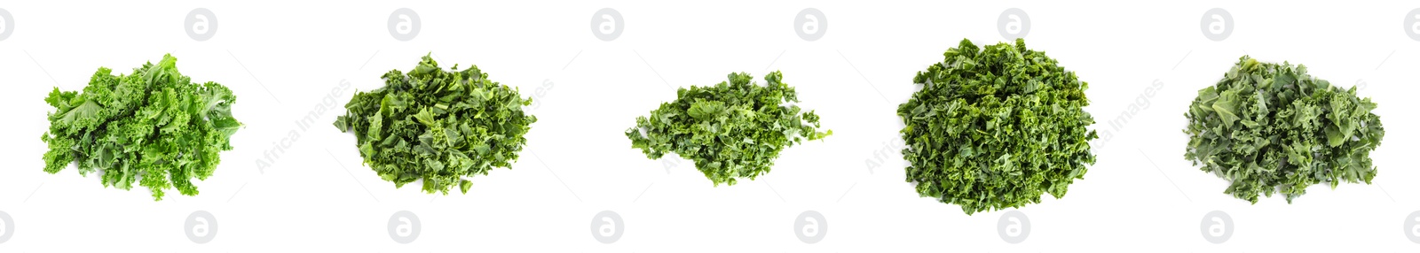 Image of Set of fresh green kale leaves on white background. Banner design 