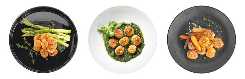 Image of Set with delicious fried scallops in plates isolated on white, top view