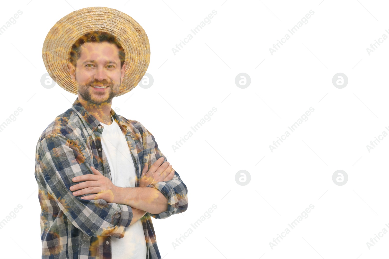 Image of Double exposure of happy farmer and sunflower field on white background