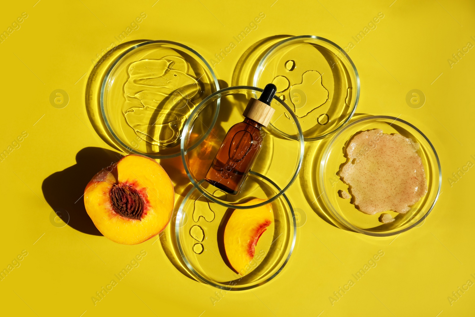 Photo of Flat lay composition with Petri dishes on yellow background