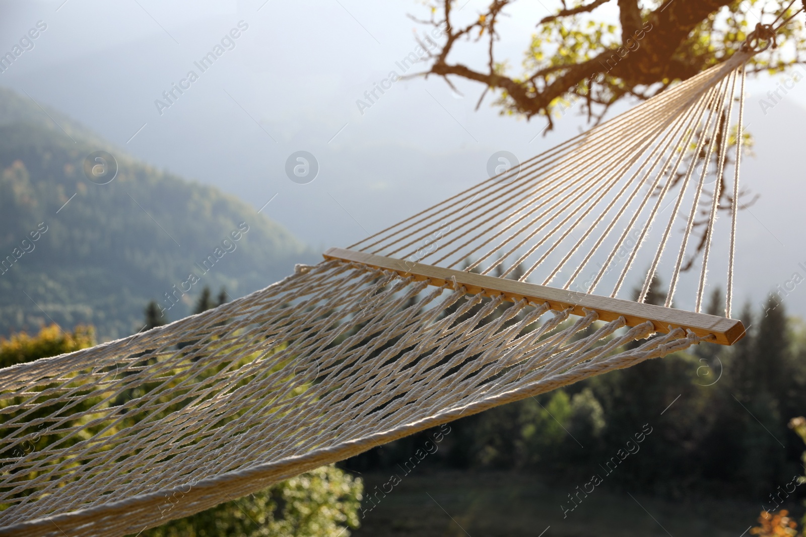 Photo of Comfortable net hammock in mountains on sunny day, closeup