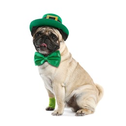 Image of St. Patrick's day celebration. Cute pug dog with green bow tie and leprechaun hat isolated on white