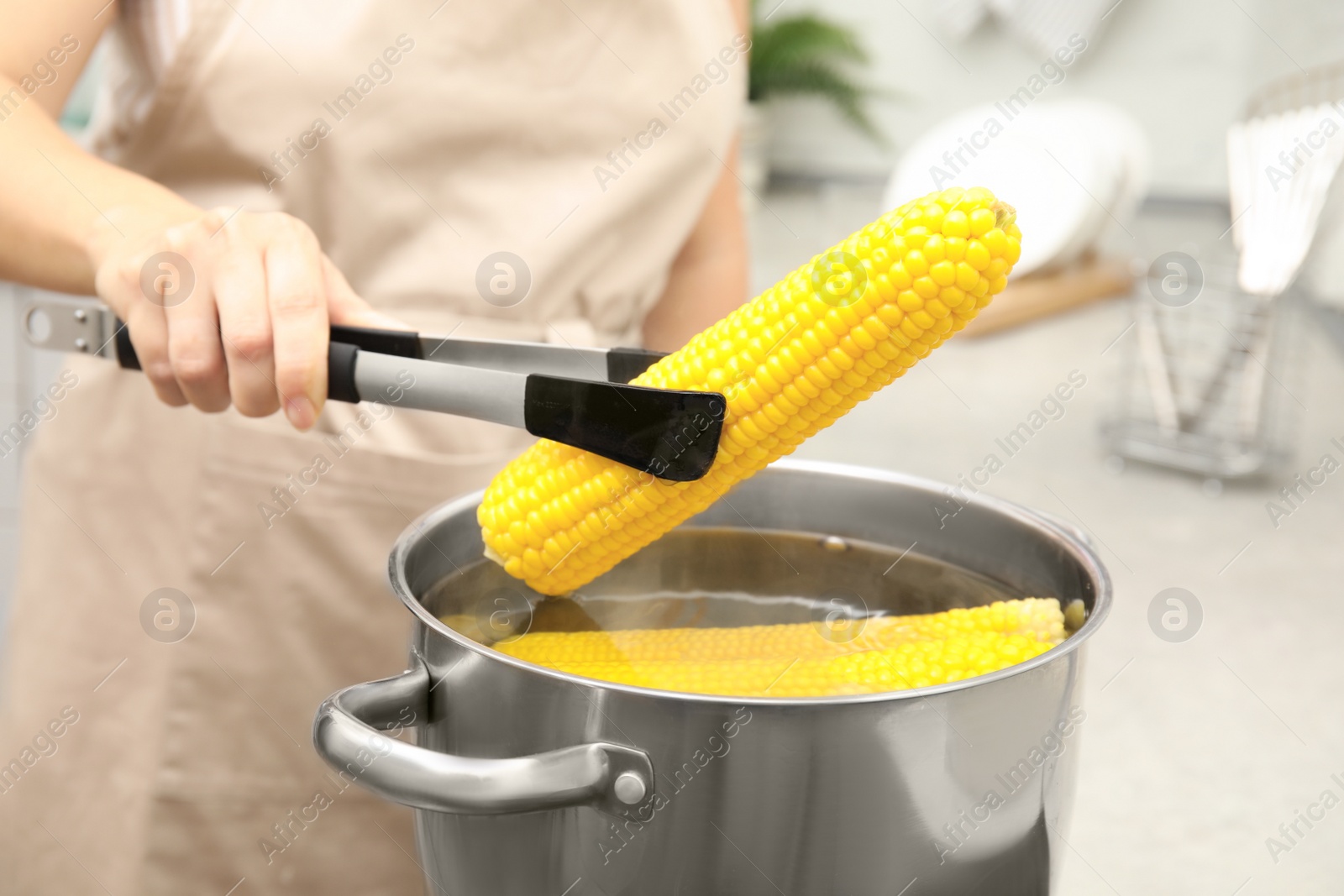 Photo of Woman taking boiled corn from pot with tongs in kitchen, closeup