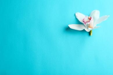 Beautiful tropical orchid flower on color background, top view. Space for text