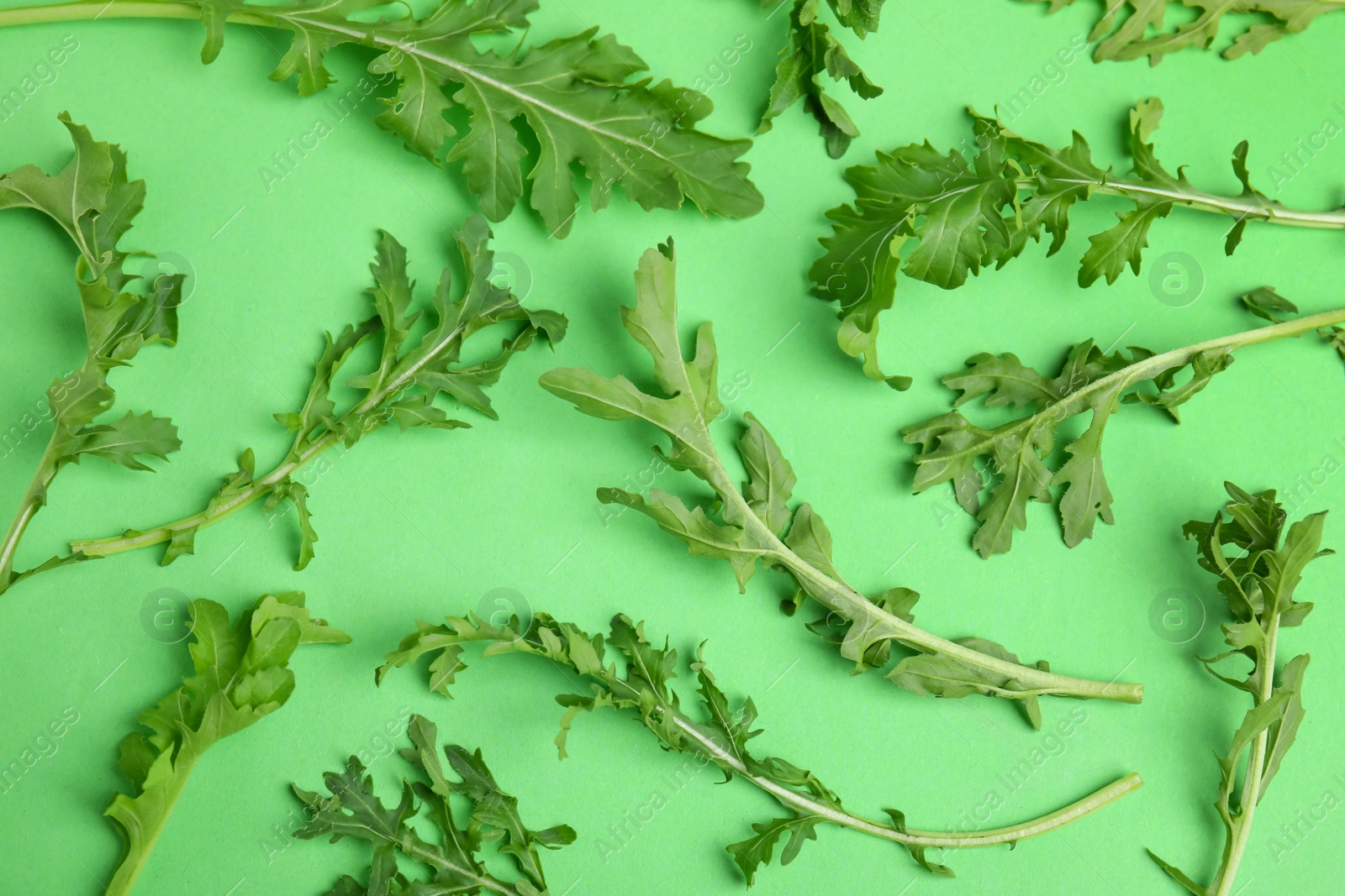 Photo of Fresh arugula on green background, flat lay