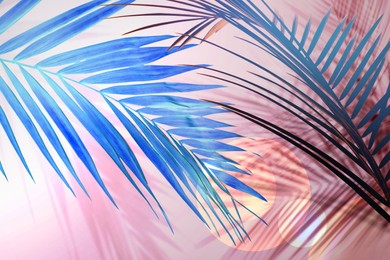 Blue palm branches and shadows on light pink background. Summer party
