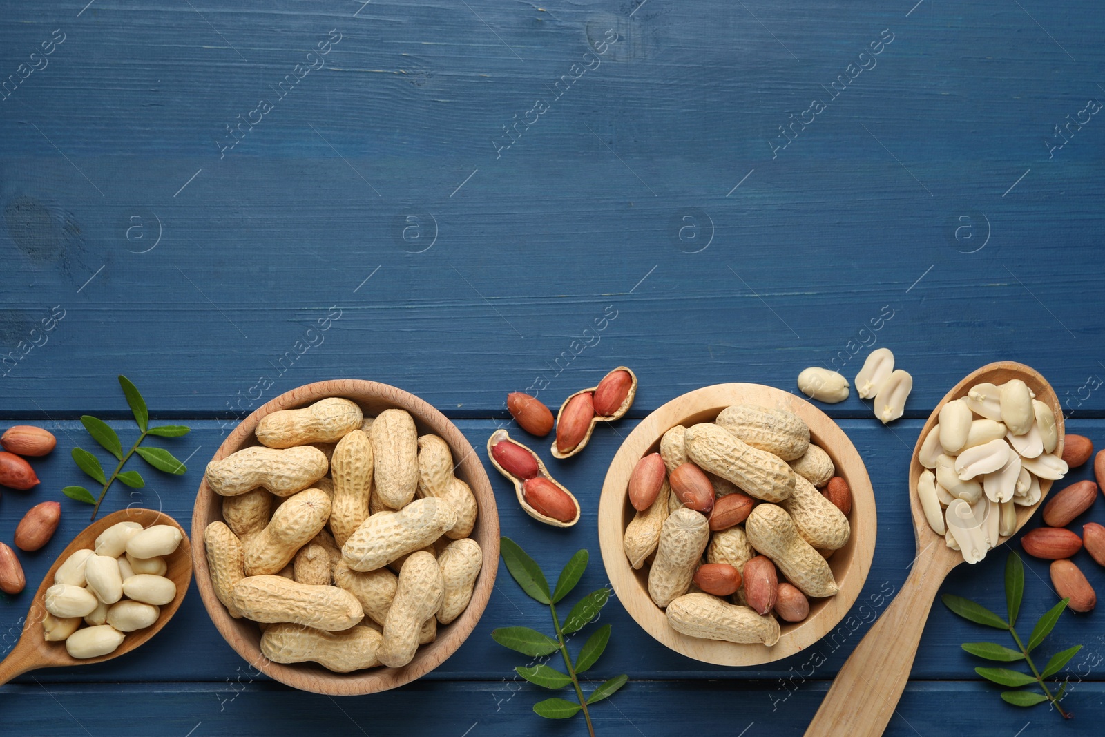 Photo of Fresh peanuts and twigs on blue wooden table, flat lay. Space for text