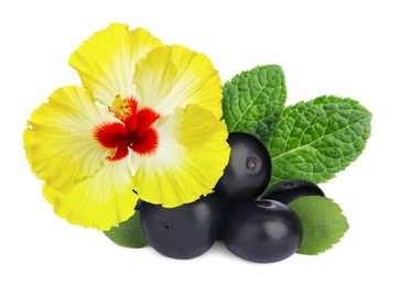 Beautiful hibiscus flower, fresh acai berries and mint on white background