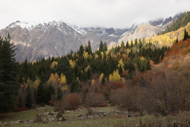 Photo of Picturesque view of mountain landscape with forest and meadow on autumn day
