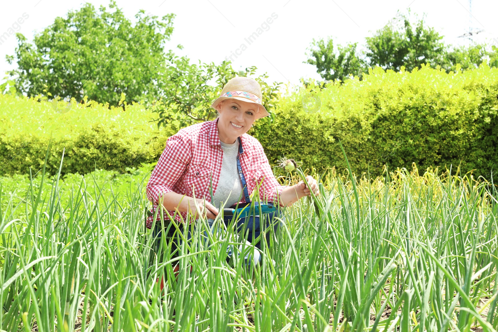 Photo of Woman working in garden on sunny day