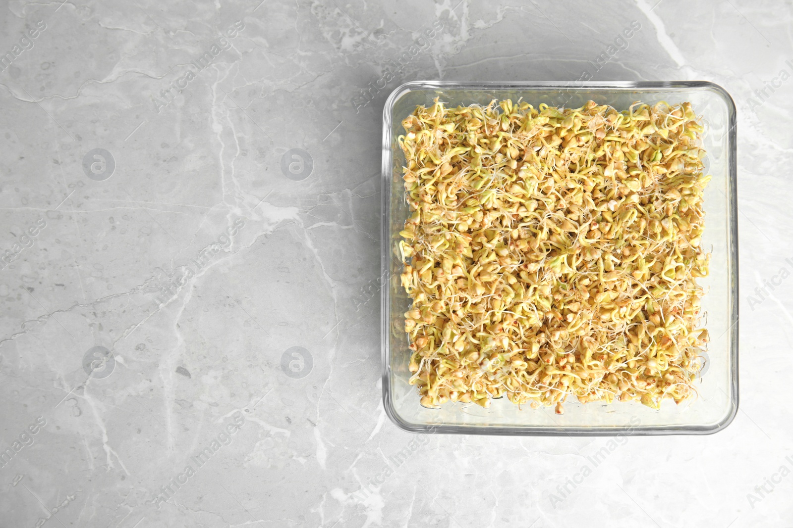 Photo of Glass bowl with sprouted green buckwheat on light grey table, top view. Space for text