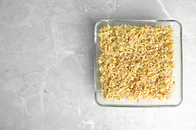 Photo of Glass bowl with sprouted green buckwheat on light grey table, top view. Space for text