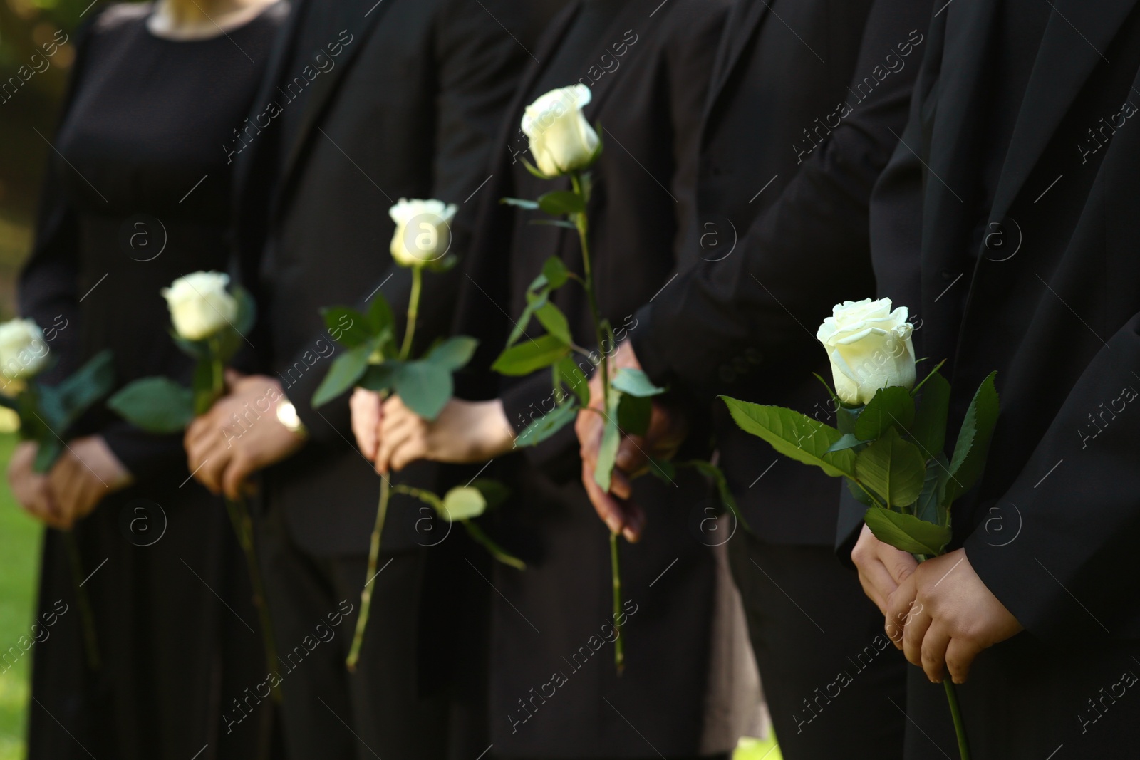 Photo of People in black clothes with white rose flowers outdoors, closeup. Funeral ceremony
