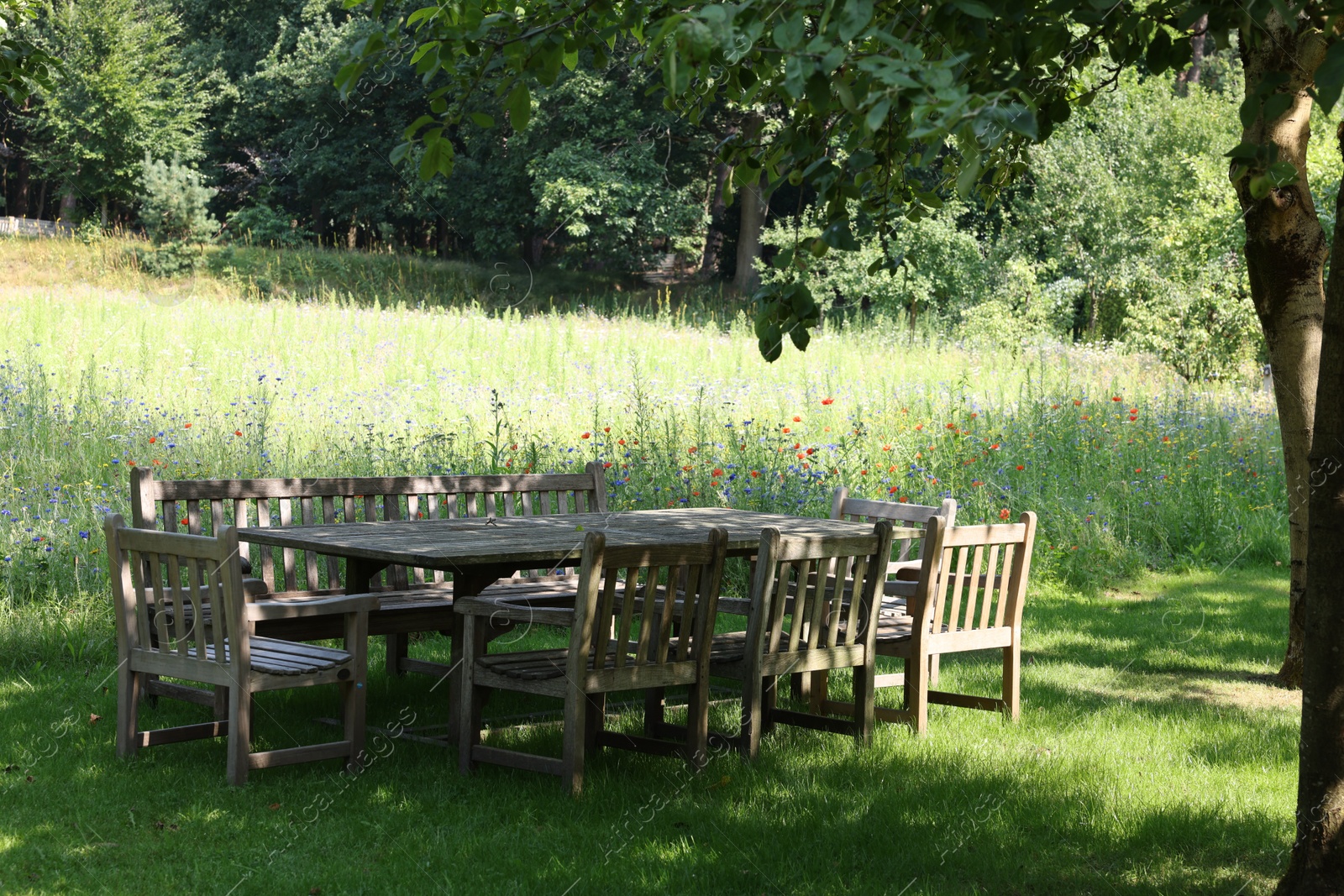 Photo of Empty wooden table with bench and chairs in garden