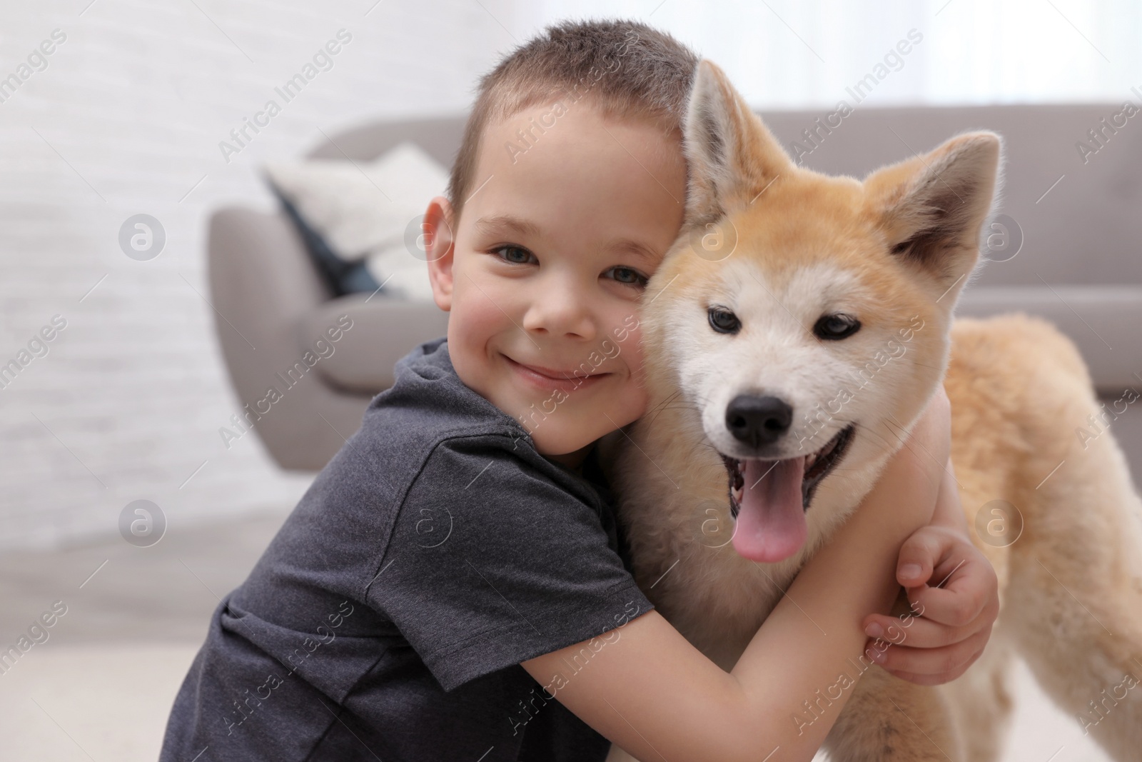 Photo of Happy boy with Akita Inu dog indoors. Lovely friends