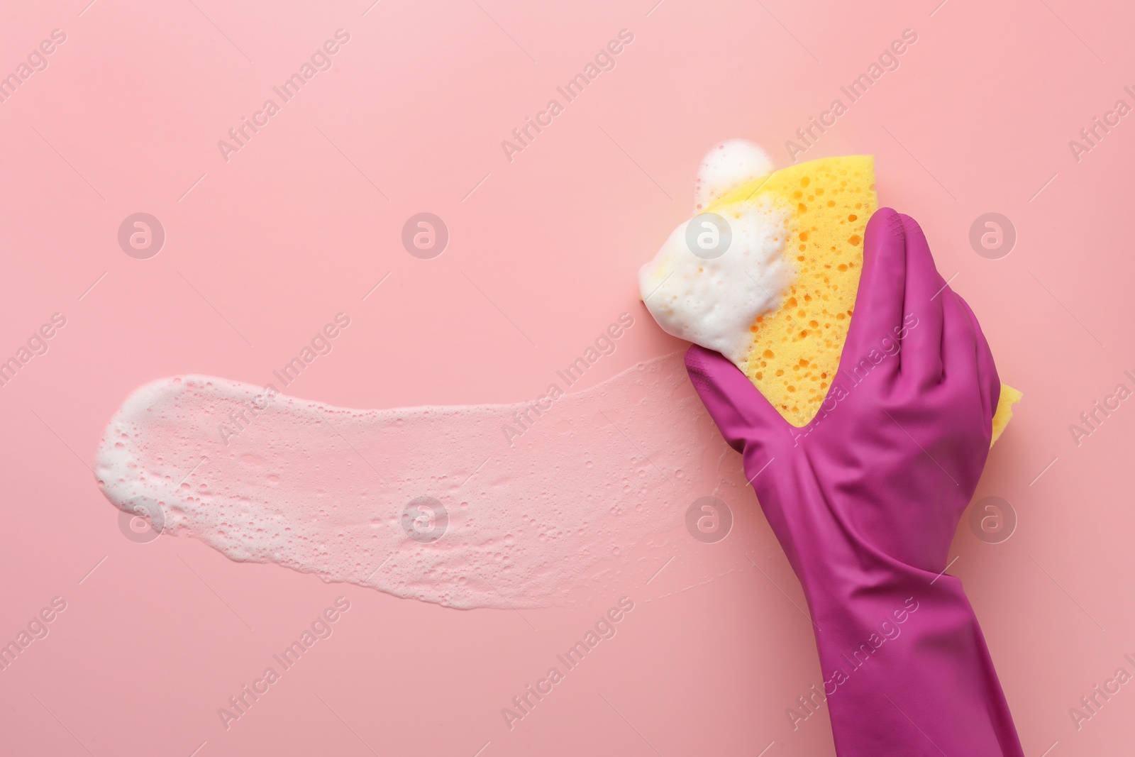 Photo of Cleaner in rubber glove holding sponge with foam on pink background, top view.