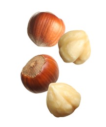 Tasty hazelnuts falling on white background. Healthy snack