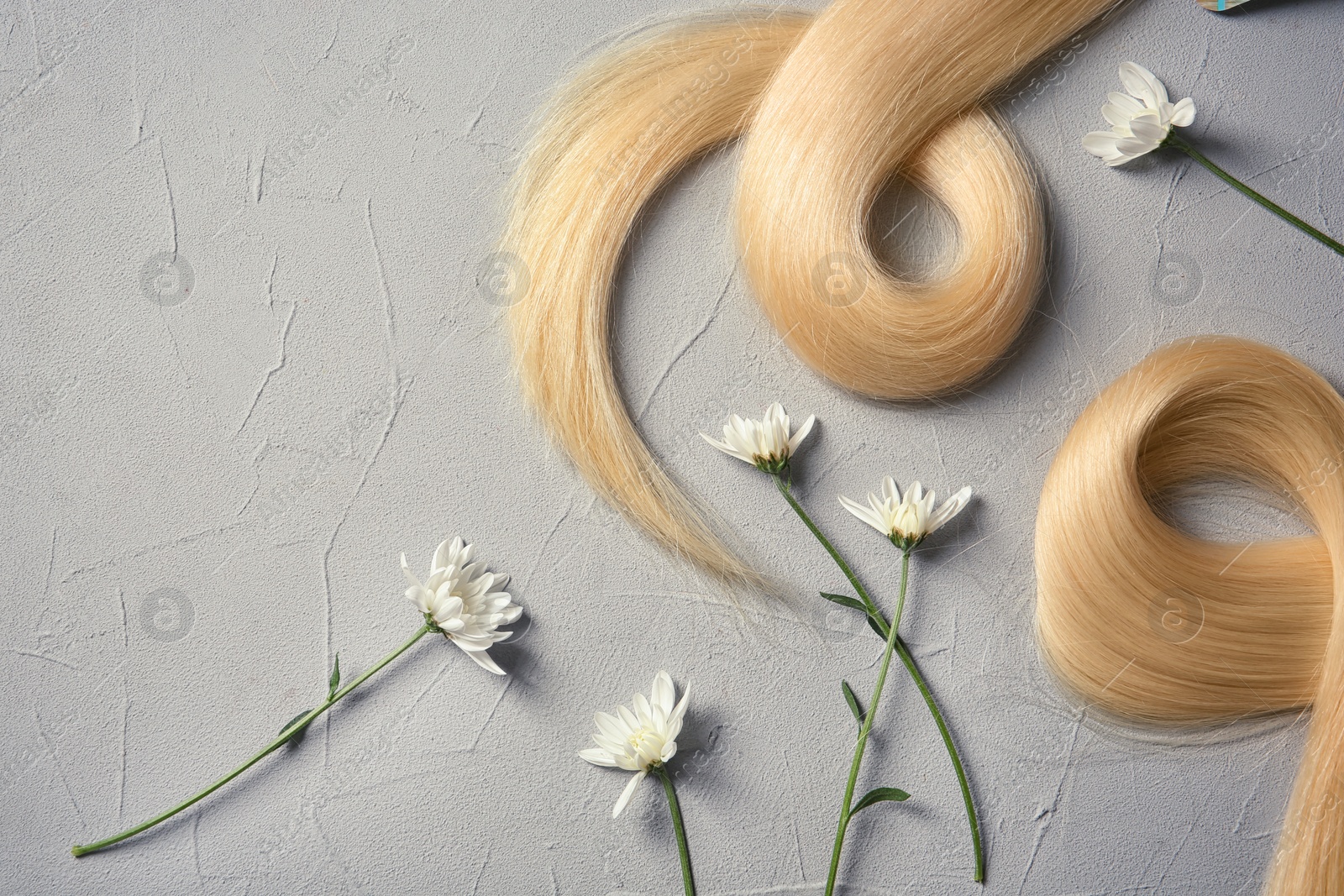 Photo of Composition with locks of blond hair and flowers on color background, flat lay