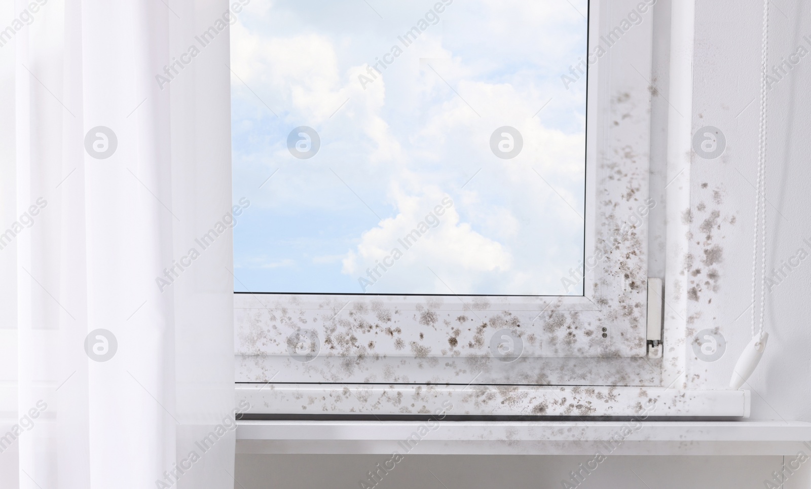 Image of Window, sill and slope affected with mold in room