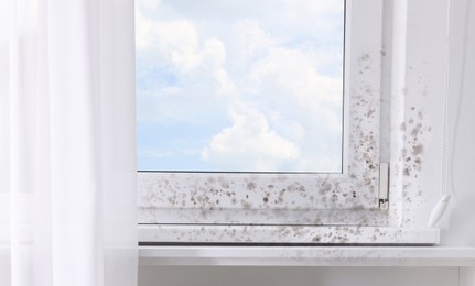 Window, sill and slope affected with mold in room