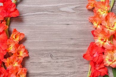 Flat lay composition with beautiful gladiolus flowers on wooden background. Space for text