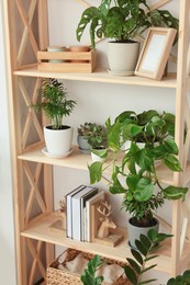 Wooden shelving unit with beautiful house plants indoors. Home design idea