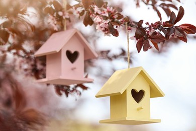 Photo of Bird houses with heart shaped holes hanging from tree outdoors