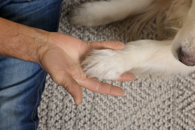 Photo of Man holding dog's paw on blanket, top view
