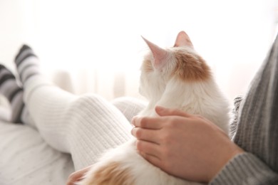 Woman with cute fluffy cat on blurred background, closeup